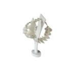 shell earrings shell earrings