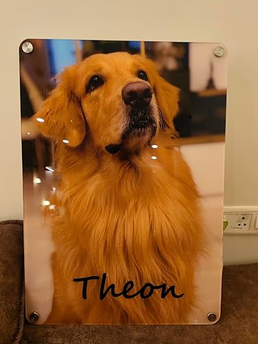 Customer Acrylic Frame photo